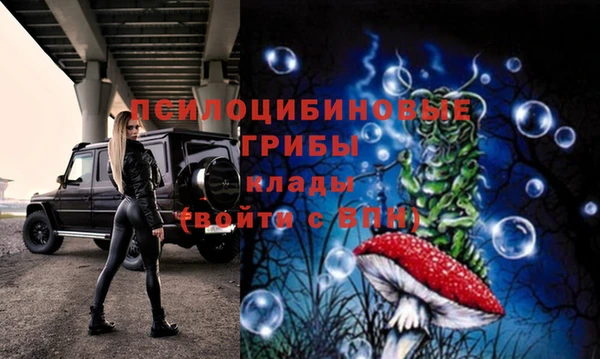 прущая мука Инсар