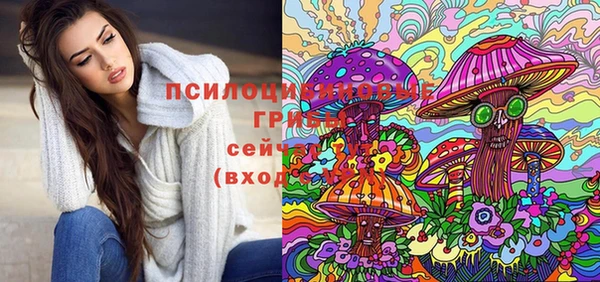 скорость Зеленодольск